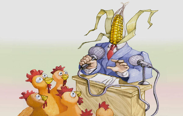 politician  with the head to form of ear attracts hens as electors political cartoon humor concept illustration