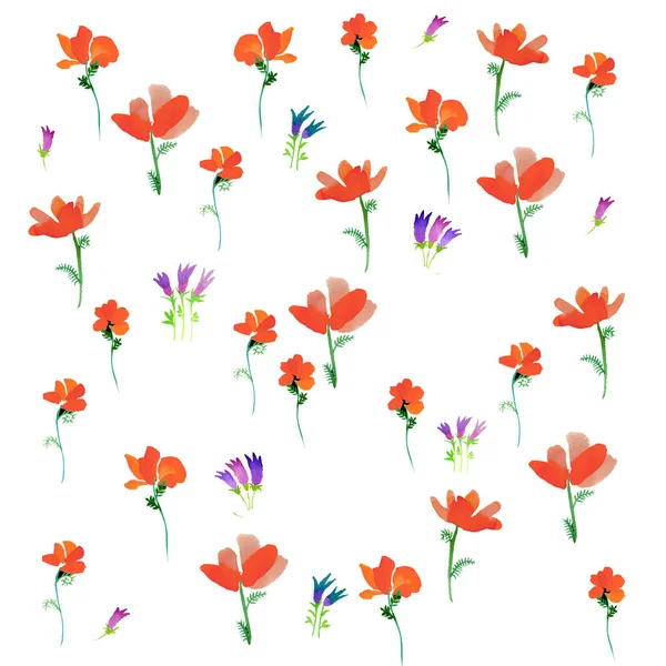 Poppies Summer Pattern Watercolor Illustration Handmade Painting Red Green Black Stock Picture