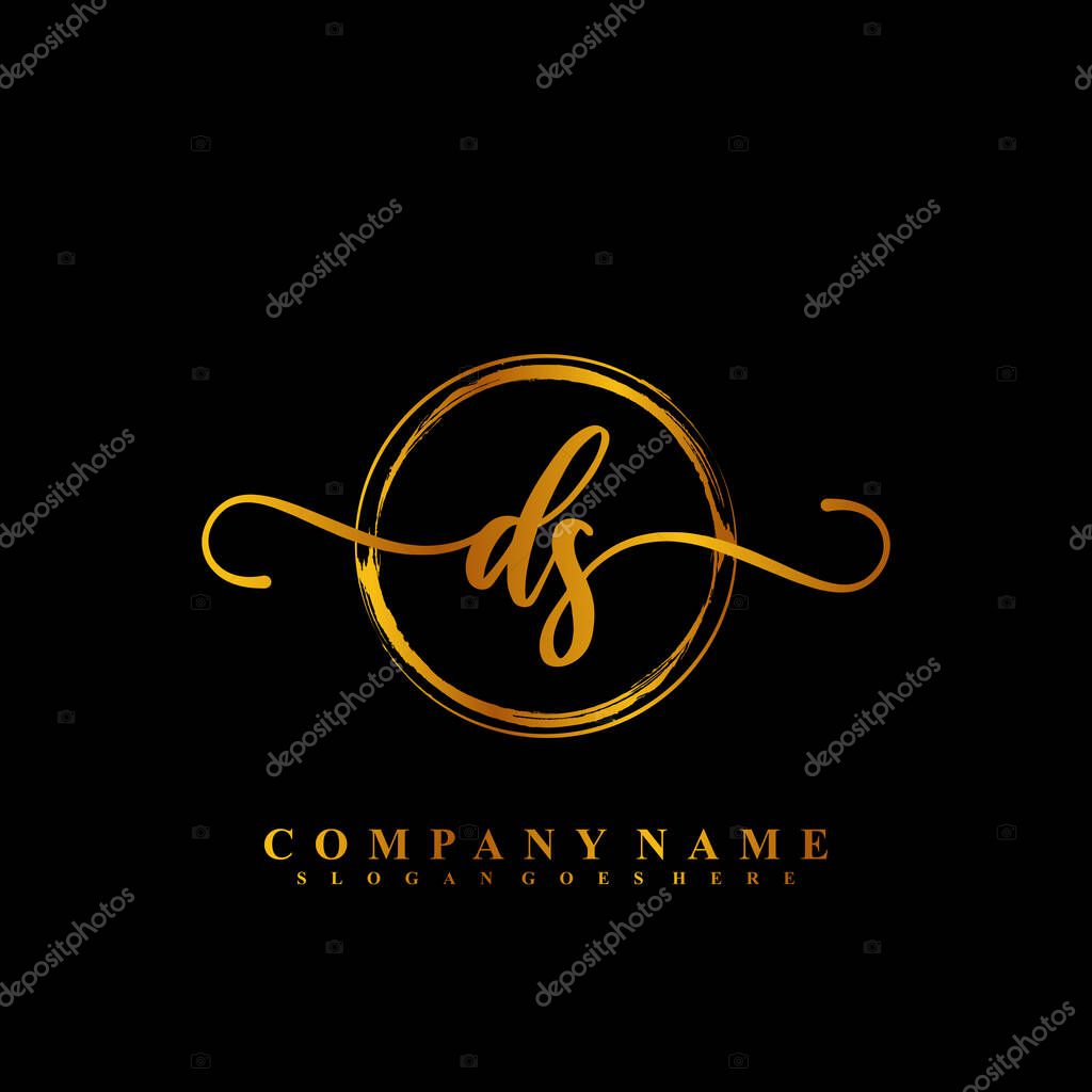 D S DS Initial handwriting logo template vector