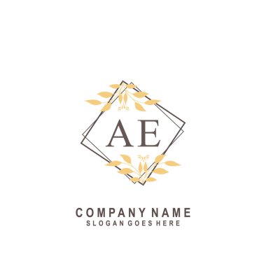 İlk harf AE güzellik el yazısı imza logo vektörü