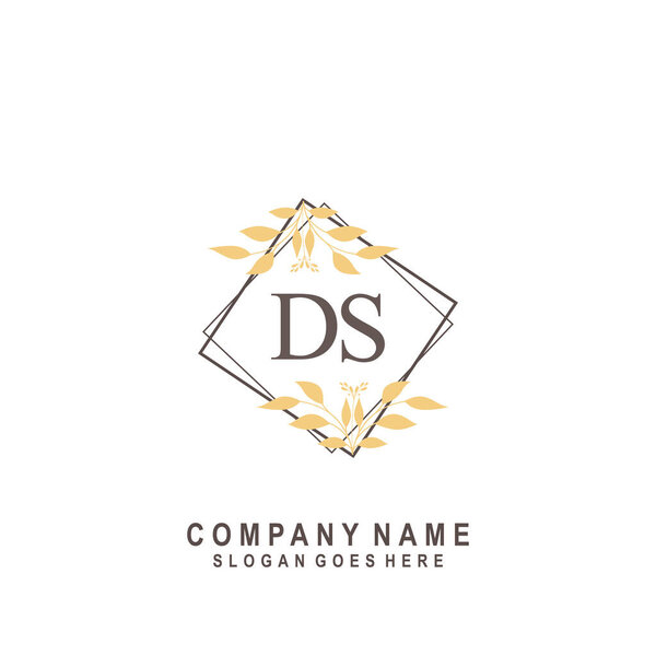 начальная буква DS beauty handwriting signature logo vector