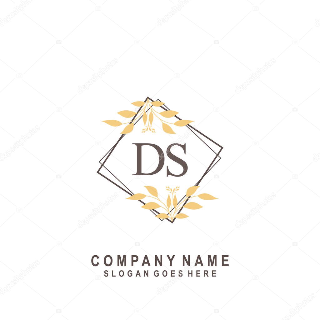 initial letter DS beauty handwriting signature logo vector