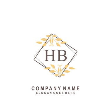 İlk harf HB güzellik el yazısı imza logo vektörü