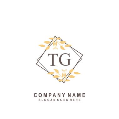 İlk harf TG güzellik el yazısı imza logo vektörü