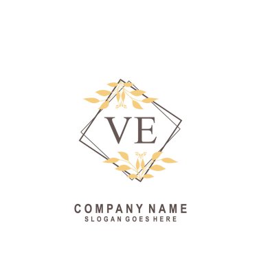 İlk harf VE güzellik el yazısı imza logo vektörü