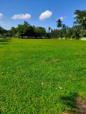 Geniş yeşil çimenler, parlak güneşli günler..