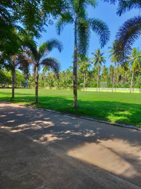 Geniş yeşil çimenler, parlak güneşli günler..