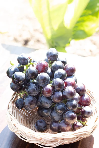 Black grapes without seeds in a rattan basket.