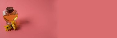Papatya çiçeği özlü temel yağ. Pembe bir arkaplanda, boşluğu kopyala.