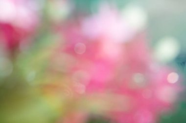 Yeşil pembe arka plan bulanık ve parlak bokeh