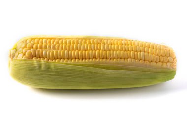 Kapatın. Beyaz arka planda parlak sarı bir mısır kulağı.