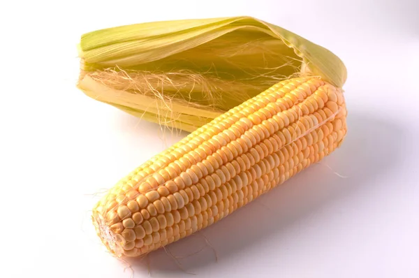 Close Bright Yellow Ear Corn White Background — Stock Photo, Image