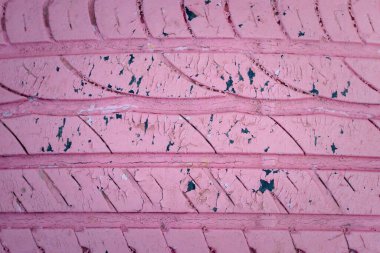 Sert desenli pembe lastik tekerlekler