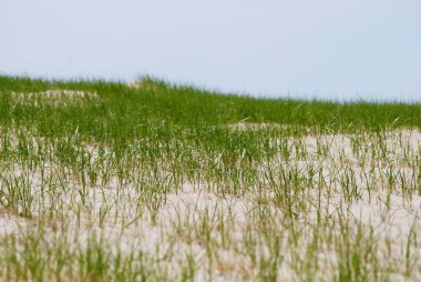 ÜST KRKT yeşil çim güzel arka plan eğimli