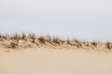 Dune, kumlu doğa arka plan kenarına kurutulmuş çim