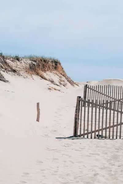 Пляж Кейп Код Деревянным Забором Природный Фон Стоковое Изображение