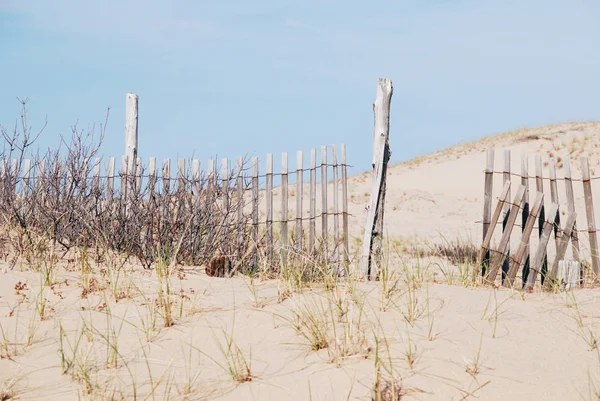 Recinzione Legno Rotto Sulla Spiaggia Cape Cod Immagine Stock