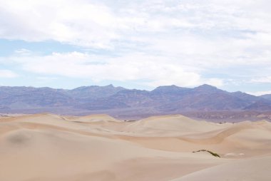 Mesquite düz kum tepeleri Ölüm Vadisi Milli Parkı, California