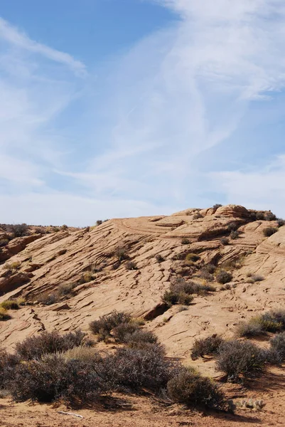 Krajobraz Natura Piaskowca Arizona Suszonych Roślin Błękitne Niebo — Zdjęcie stockowe