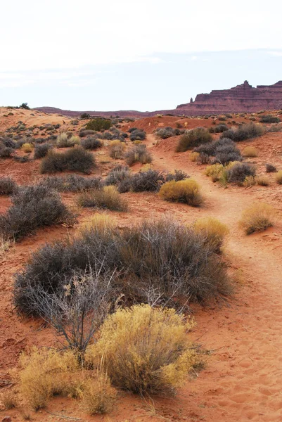 Wildcat Trail Monument Valley Paisaje Desértico Rojo Utah —  Fotos de Stock