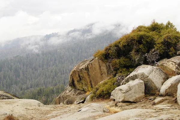 Sequoia National Park View Mountain Top Cloudy Weather — Stock Photo, Image