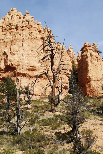 Όμορφο Εθνικό Πάρκο Bryce Canyon Utah Ηπα — Φωτογραφία Αρχείου