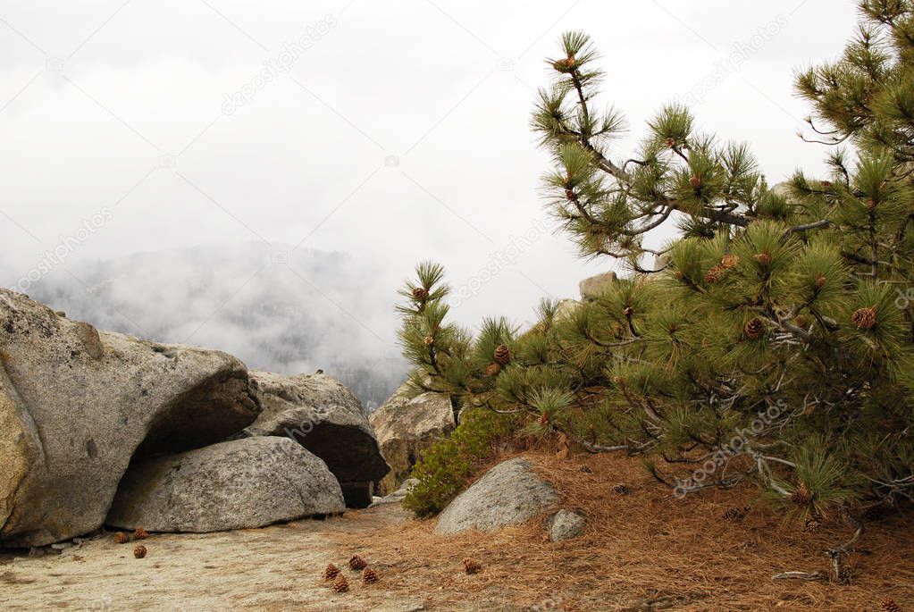 Buena vista viewponit in Sequoia national Park, nature lamdscape