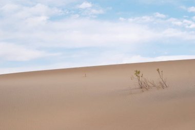 Çöl arka plan mavi cloude gökyüzü, kumul kurutulmuş bitki ile ile