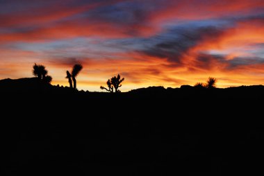 Güzel günbatımı gökyüzü Joshua Tree National Park, Kaliforniya, ABD