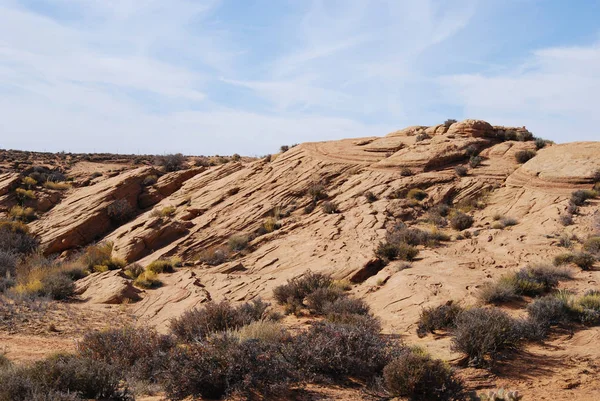 Přírodní Pískovcové Útvary Arizoně Sušených Rostlin Krásnou Přírodu Modrou Oblohou — Stock fotografie