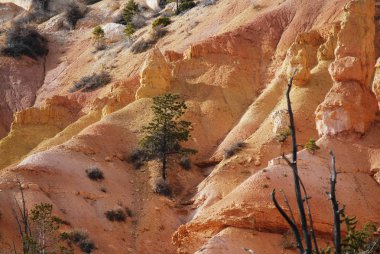 Durağındayım sandstonel Bryce Canyon Milli Parkı, Utah, ABD