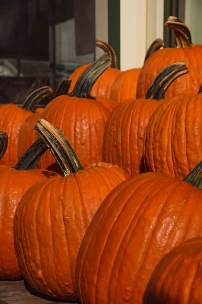 Bir calabazas de color naranja brillante en un puesto de granja —  Fotos de Stock