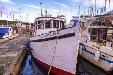 Ladysmith, Bc, Kanada - 15 Ocak 2018: Balıkçı tekneleri Ladysmith Marina, Vancouver Adası, British Columbia, Kanada alınan panoramik manzaralı