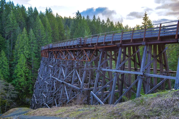 Vista Kinsol Trestle Ponte Ferroviária Madeira Vancouver Island Canadá — Fotografia de Stock