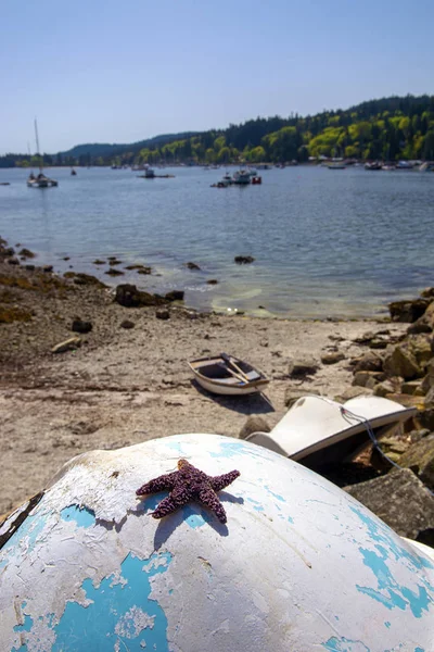 Uitzicht Innerlijke Strand Aan Ganges Jachthaven Salt Spring Island British — Stockfoto