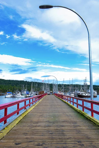 加拿大不列颠哥伦比亚省莱迪史密斯 2018年1月15日 莱迪史密斯码头的渔船全景 位于加拿大不列颠哥伦比亚省温哥华岛 — 图库照片