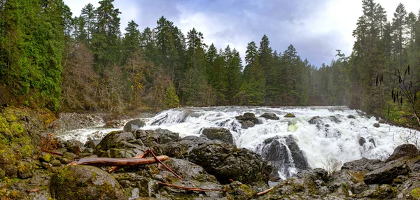 Vista Panorâmica Seção Cachoeiras Superiores Englishman River Falls Localizada Ilha — Fotografia de Stock