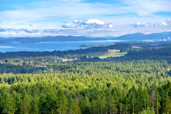 Lookout view of Ladysmith shoreline from top of a mountain and gulf islands in the horizon, taken on Vancouver Island, BC, Canada