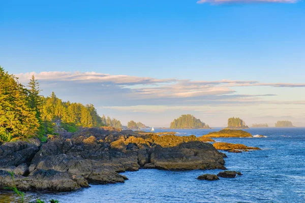 Melihat Garis Pantai Jalur Pasifik Liar Ucluelet Pulau Vancouver Saat — Stok Foto