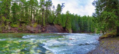 Vancouver Adası, Bc Kanada'da bulunan İngiliz River Falls üst şelaleler bölümünde panoramik manzaralı