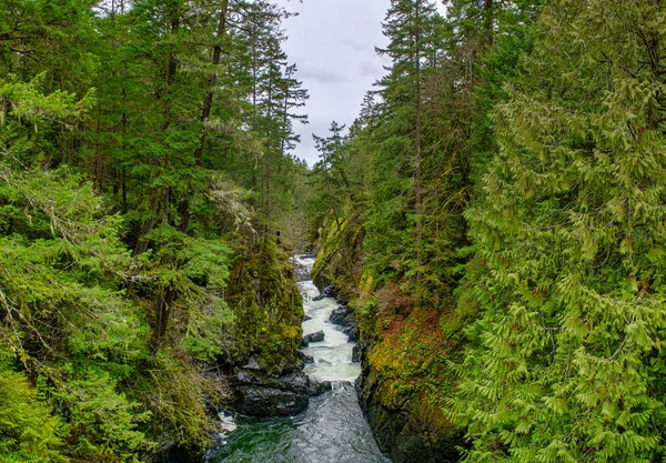 Panoramatický Výhled Část Horní Vodopády Angličan River Falls Který Nachází — Stock fotografie