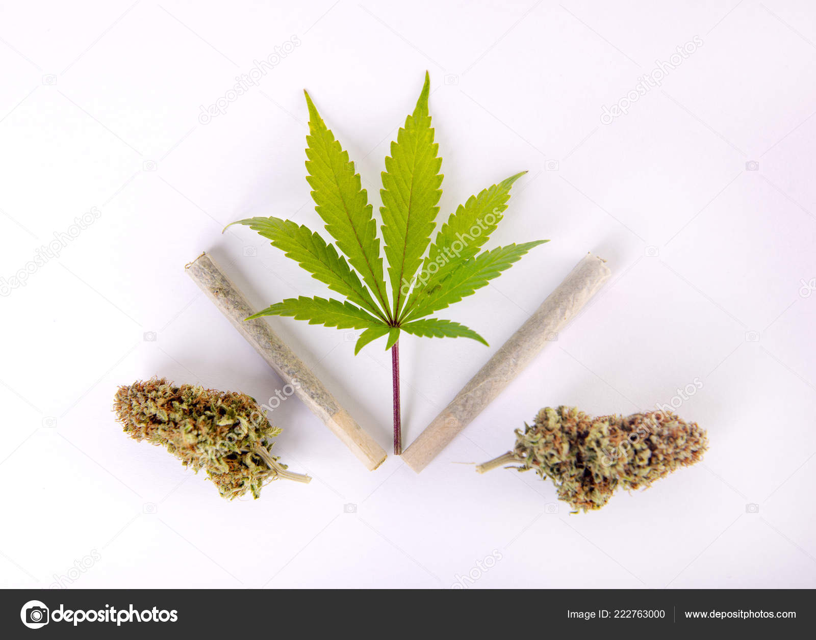 Detail Cannabis Leaf Nugs Pre Rolls Isolated White Medical Marijuana