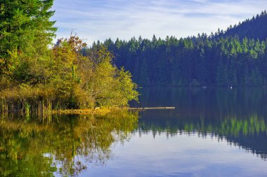 Nanaimo Westwood gölde Güz, Vancouver Adası, Kanada sırasında görünümünü