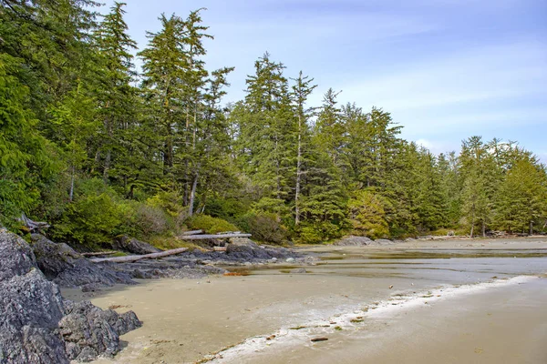 在加拿大温哥华岛的热门目的地 托菲诺长滩的松树岩石形成 — 图库照片