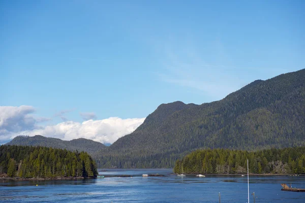 View of the shoreline of Meares Island and hill tops in Tofino, Vancouver Island, Canada
