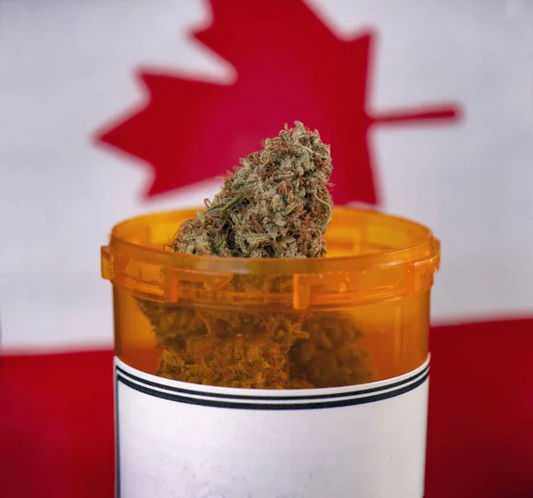 Cannabis Bud Tegen Canadese Vlag Medische Marihuana Concept — Stockfoto