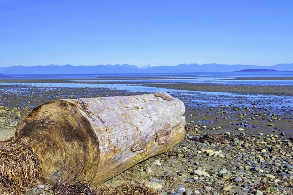 Vue Parc Provincial Rathtrevor Beach Marée Basse Dans Île Vancouver — Photo