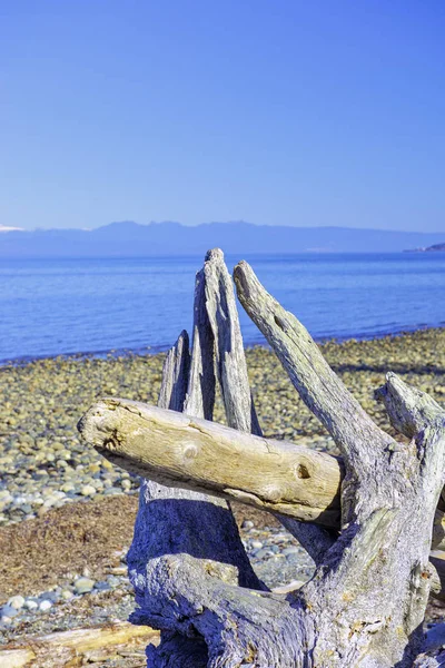 Weergave Van Rathtrevor Beach Provincial Park Tijdens Vancouver Island Canada — Stockfoto