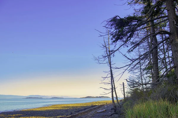 Vue Parc Provincial Rathtrevor Beach Marée Basse Dans Île Vancouver — Photo