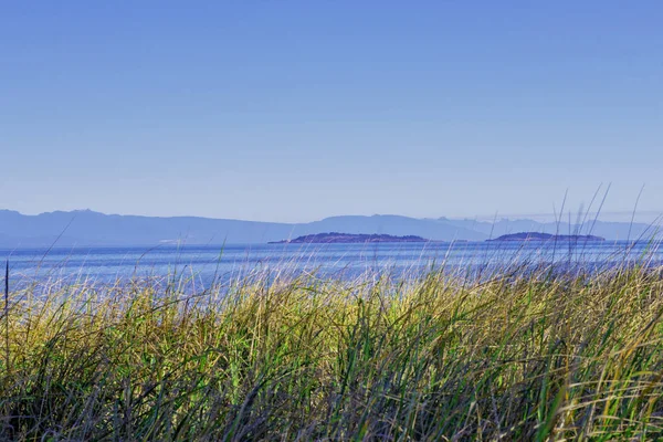 Pemandangan Taman Provinsi Rathtrevor Beach Selama Pasang Surut Pulau Vancouver — Stok Foto